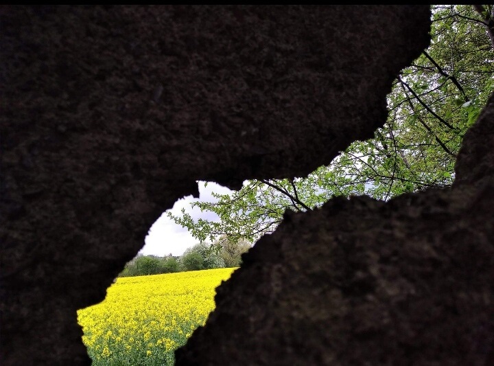 III MIEJSCE klasy IV-VIII – Ewa Stokłosa – Szkoła Podstawowa w Tenczynku