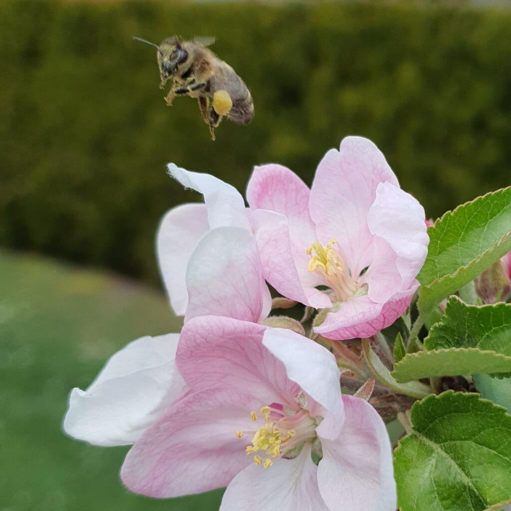 III MIEJSCE klasy I-III – Małgorzata Gabryś – Szkoła Podstawowa w Tenczynku