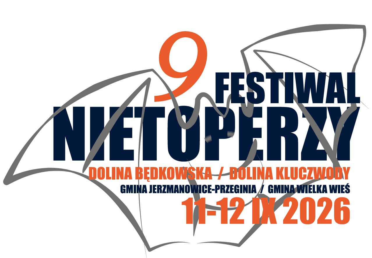 Logo 9. Festiwalu Nietoperzy